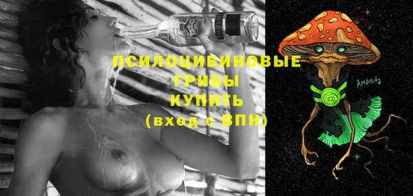mix Вяземский